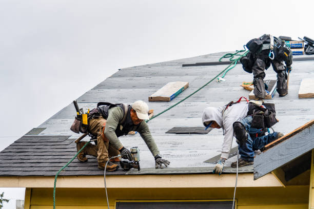Professional Gutter Installation technician working in Albright, WV